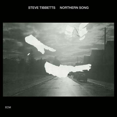 Steve Tibbetts (geb. 1954): Northern Song (Touchstones), CD