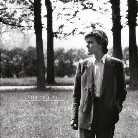 David Sylvian: Brilliant Trees (remastered) (180g), LP