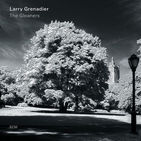 Larry Grenadier (geb. 1966): The Gleaners, LP