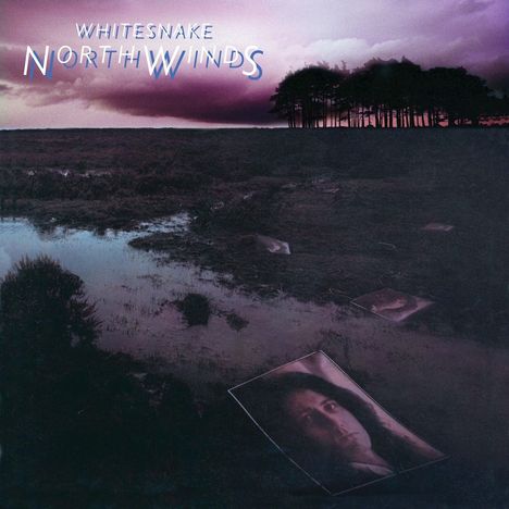 Whitesnake: Northwinds (2024 Remix) (Black Ice Vinyl), LP