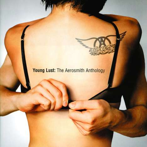 Aerosmith: Young Lust: The Aerosmith Anthology, 2 CDs