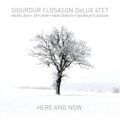 Sigurdur Flosason (geb. 1964): Here And Now, CD