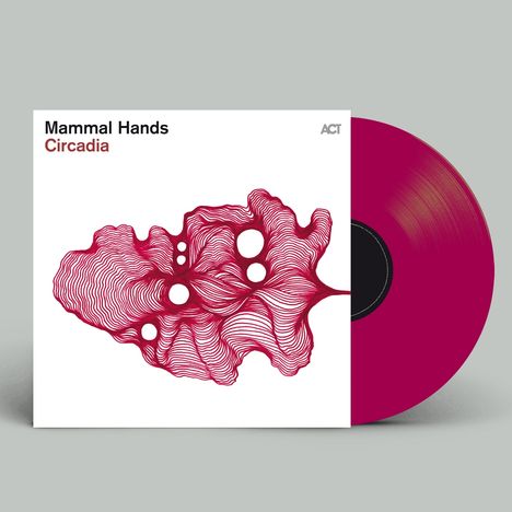 Texte: "Mammal Hands", "Circadia", "ACT". Abstrakte, rote, linienartige Form; daneben eine magentafarbene Schallplatte.