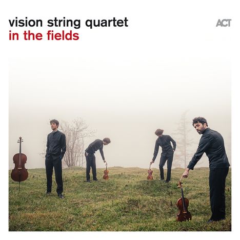 Text: "vision string quartet in the fields". Vier Männer mit Streichinstrumenten stehen auf einer nebligen Wiese.