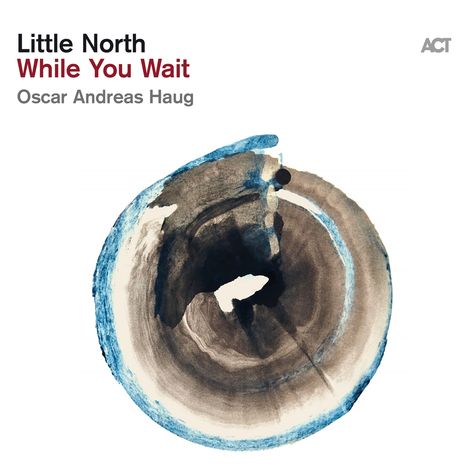 Little North: While You Wait (180g), LP