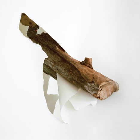 Ein Stück Holz ragt durch zerrissenes Papier. Der Hintergrund ist schlicht und hell.