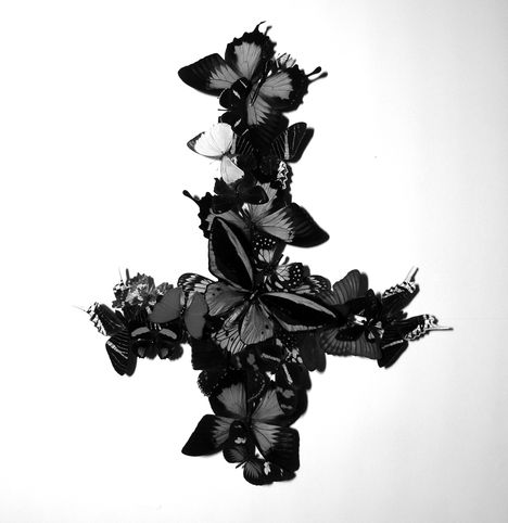Monarch: Never Forever, CD