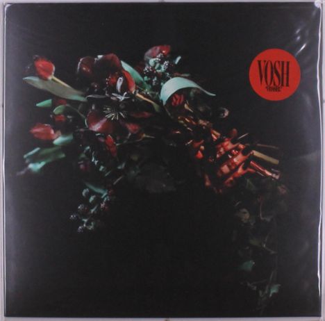 Vosh: Vessel, LP