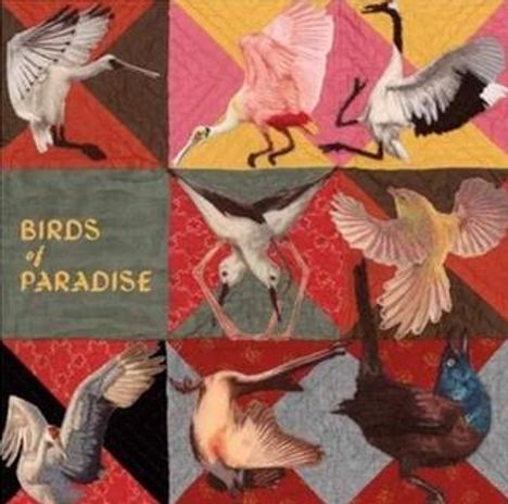 Text "BIRDS of PARADISE". Bunte Illustration von Vögeln auf einem Patchwork-Hintergrund in Rot- und Brauntönen.