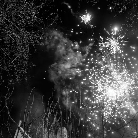 Keine Texte erkennbar. Schwarz-weiß Szene von Feuerwerk am Nachthimmel, umgeben von Zweigen.