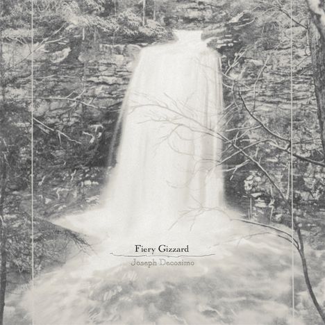Joseph Decosimo: Fiery Gizzard, LP