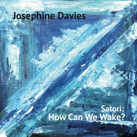 Josephine Davies: Satori: How Can We Wake? (180g), LP