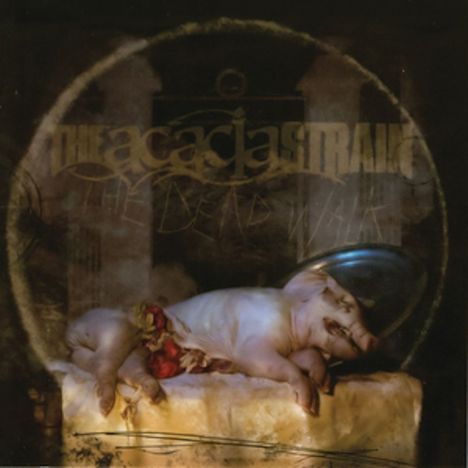 "The Acacia Strain, The Dead Walk" steht darauf. Ein weißes Ferkel liegt mit geschmücktem Bauch auf einer hellen Oberfläche.
