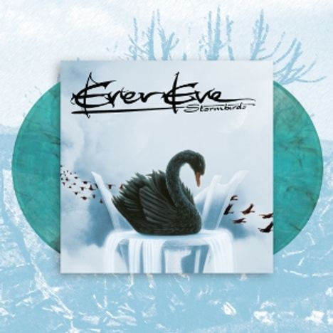 „Evereve Stormbirds“ in großer Schrift. Ein schwarzer Schwan auf Eis mit fliegenden Vögeln im Hintergrund.