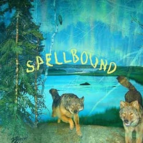 Boyscott: Spellbound, CD