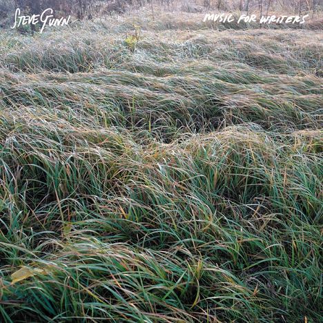 Steve Gunn: Music for Writers, LP