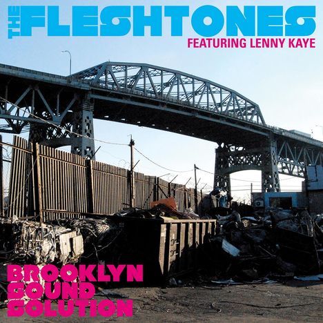 The Fleshtones: Brooklyn Sound Solution, CD