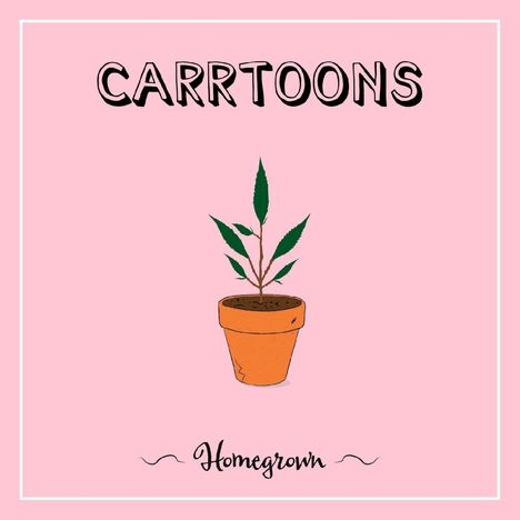 "CARRTOONS", "Homegrown", Illustration eines Topfes mit Pflanze auf rosa Hintergrund.