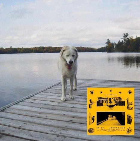 Ein gelbes Albumcover mit "Daisy Jaguar Sun" neben einem weißen Hund auf einem hölzernen Steg am See.