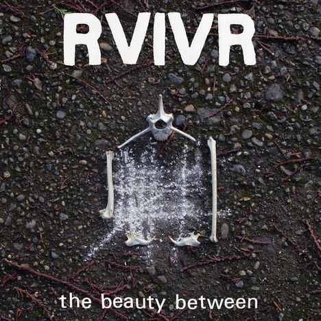 "RVIVR, the beauty between" in weißer Schrift auf Kies. Knochen formen ein abstraktes Muster auf dunklem Untergrund.