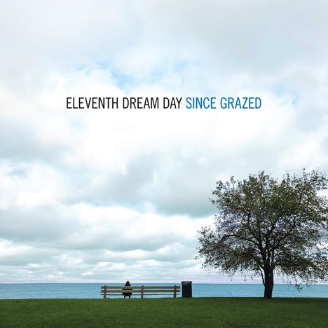 Eleventh Dream Day: Since Grazed, 2 LPs