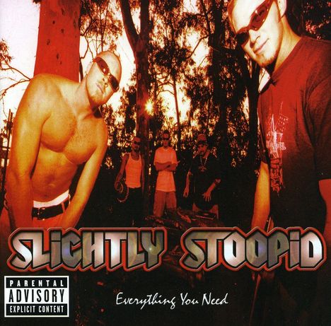 Slightly Stoopid: Everything You Need, CD