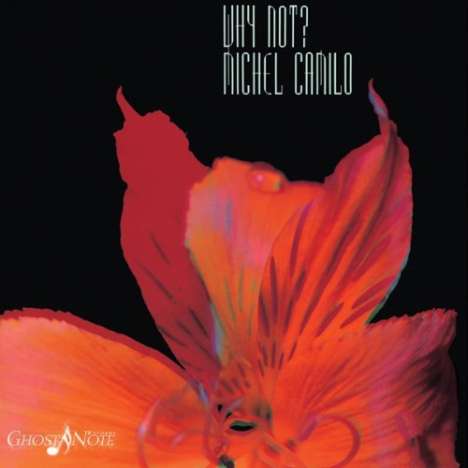 Michel Camilo (geb. 1954): Why Not? (remastered), LP