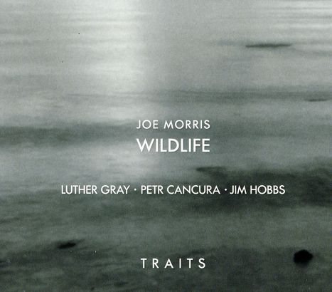 Joe Morris/Wildlife: Traits, CD