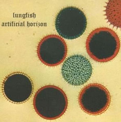 Text: "lungfish artificial horizon." Mehrere Kreise mit bunten Rändern auf hellem Hintergrund.