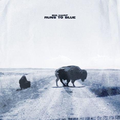 Text: "BIG HARP RUNS TO BLUE". Zwei Bisons auf einem Feldweg in einer weiten, offenen Landschaft.