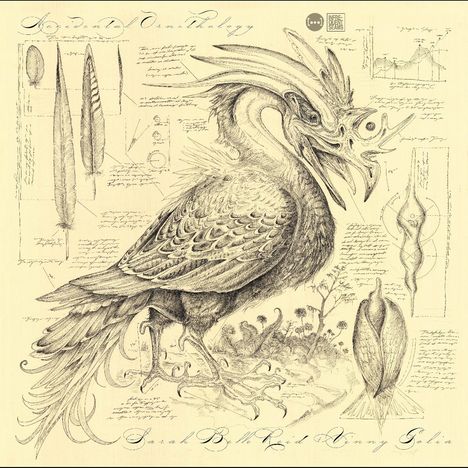 Sarah Belle Reid & Vinny Golia: Accidental Ornithology, CD