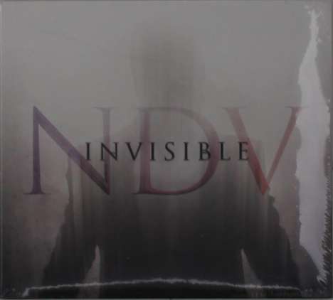 Nick D'Virgilio: Invisible, CD