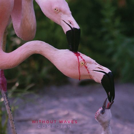 Without Waves: Comedian (Limited Edition) (Pink with Red and Black Splatter Vinyl), 2 LPs