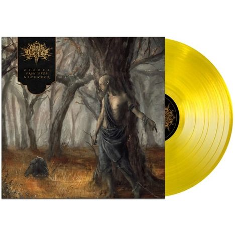 Fires In The Distance: Echoes From Deep November, LP