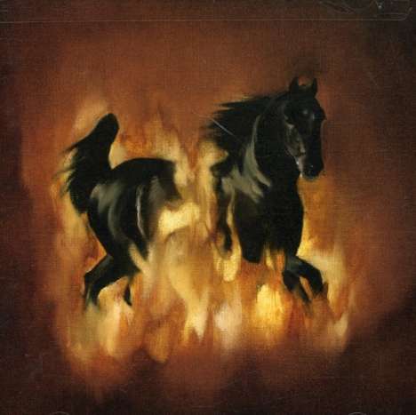 The Besnard Lakes: The Besnard Lakes Are The Dark Horse, CD