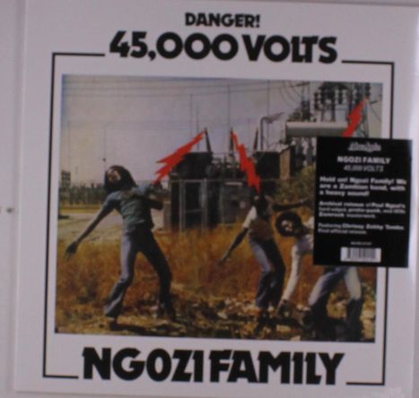 Ngozi Family: 45,000 Volts, LP