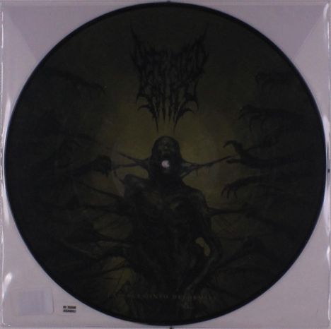 Defeated Sanity: Passages Into Deformity (Picture Disc), LP