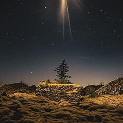 Kein Text sichtbar. Ein alleinstehender Baum auf einem felsigen, mit Moos bewachsenen Hügel unter einem sternenklaren Nachthimmel.