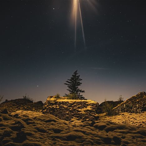 Nachthimmel mit leuchtendem Stern darüber, einsamer Baum auf moosbewachsenem Hügel im Vordergrund.