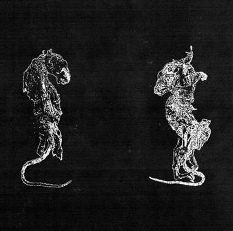 Zwei skizzenhafte, weiße Tierfiguren auf schwarzem Hintergrund. Links ein stehendes, rechts ein aufgerichtetes Wesen.