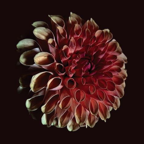 Jessica Moss (20. Jahrhundert): Unfolding, CD