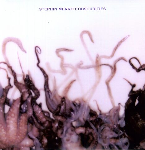 Stephin Merritt (geb. 1965): Obscurities, LP