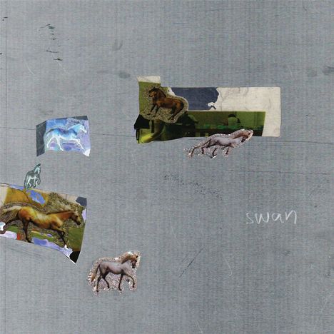 Text: "swan". Mehrere ausgeschnittene Pferdebilder auf grauem Hintergrund, künstlerisch collagiert.