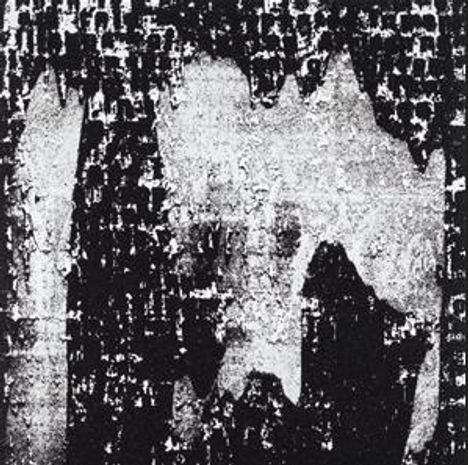 Es sind keine lesbaren Texte vorhanden. Abstrakte schwarz-weiße Textur mit kontrastreichen, abgenutzten Mustern.