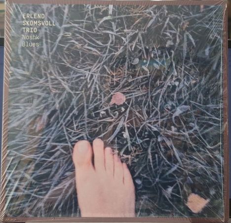 Erlend Skomsvoll (geb. 1969): Noshk Blues, CD