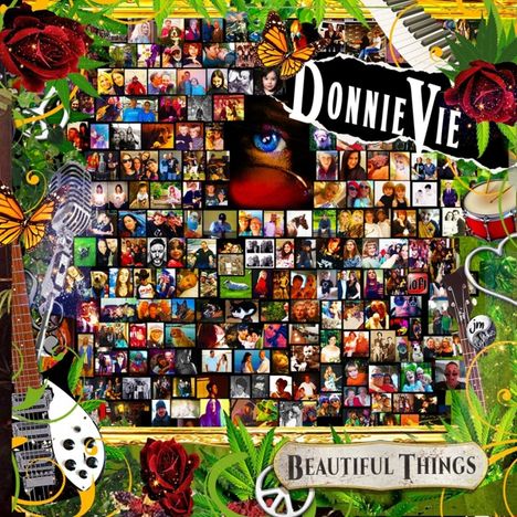Donnie Vie: Beautiful Things, LP