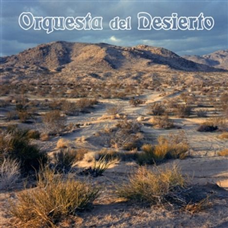 Orquesta Del Desierto: Orquesta Del Desierto, LP