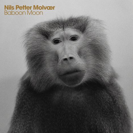 Nils Petter Molvær (geb. 1960): Baboon Moon, CD