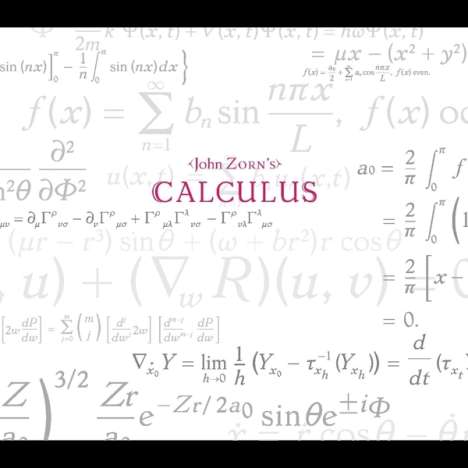 John Zorn (geb. 1953): Calculus, CD