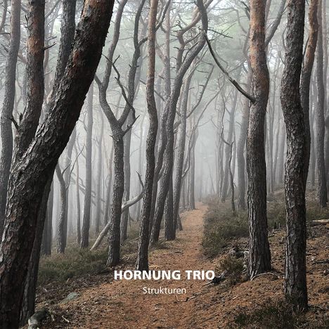 Hornung Trio: Strukturen, CD